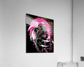 Dragon ball 2 Acrylic Print