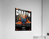 Dragon ball 7 Acrylic Print