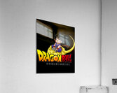 Dragon ball 13 Acrylic Print