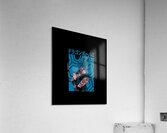 Dragon ball 16 Acrylic Print