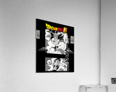 Dragon ball 23 Acrylic Print