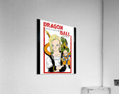 Dragon ball 36 Acrylic Print