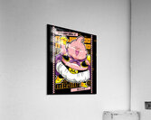 Dragon ball 37 Acrylic Print