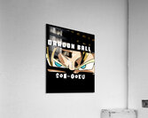 Dragon ball 39 Acrylic Print