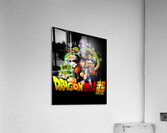 Dragon ball 40 Acrylic Print