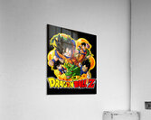 Dragon ball 48 Acrylic Print