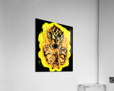 Dragon ball 37 Acrylic Print