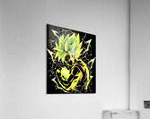 Dragon ball 38 Acrylic Print