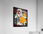 Dragon ball 39 Acrylic Print