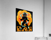 Dragon ball 61 Acrylic Print