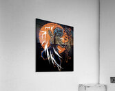 Dragon ball 1 Acrylic Print