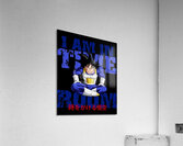 Dragon ball 2 Acrylic Print