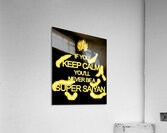 Dragon ball 6 Acrylic Print