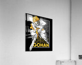 Dragon ball 8 Acrylic Print