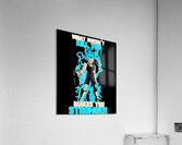 Dragon ball 9 Acrylic Print