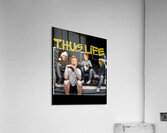 Elf 14 Acrylic Print