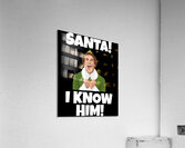 Elf 18 Acrylic Print