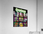 Goosebumps 45 Acrylic Print