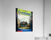 Goosebumps 60 Acrylic Print