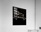 Goosebumps 63 Acrylic Print