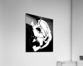 Helluva Boss 4 Acrylic Print