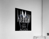 Hollow Knight 21 Acrylic Print