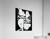 Hunter × Hunter 7 Acrylic Print