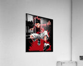 Hunter × Hunter 24 Acrylic Print