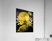 Hunter × Hunter 20 Acrylic Print