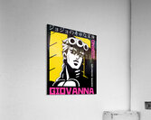 Hunter × Hunter 12 Acrylic Print