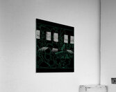 Kinks 50 Acrylic Print