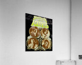 Kinks 60 Acrylic Print