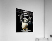 Kung Fu Panda 55 Acrylic Print