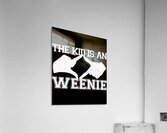 L7 12 Acrylic Print
