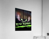 Lilo & Stitch 17 Acrylic Print