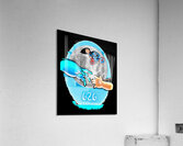 Lilo & Stitch 48 Acrylic Print