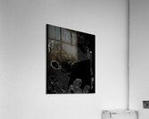 Lou Reed 13 Acrylic Print