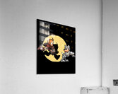 Mega Man 11 Acrylic Print