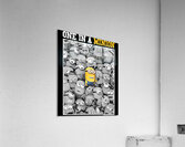 Minion 55 Acrylic Print