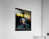 Oasis 24 Acrylic Print