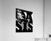 Oasis 25 Acrylic Print