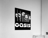 Oasis 35 Acrylic Print