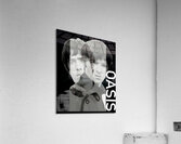 Oasis 39 Acrylic Print