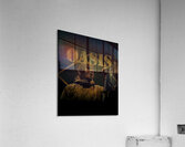 Oasis 40 Acrylic Print