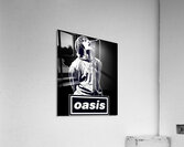 Oasis 67 Acrylic Print