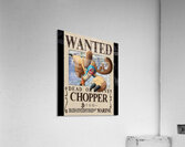 One Piece 5 Acrylic Print