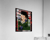 One Piece 11 Acrylic Print