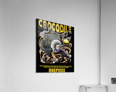 One Piece 38 Acrylic Print