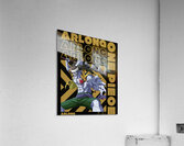 One Piece 43 Acrylic Print