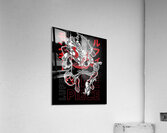 One Piece 46 Acrylic Print